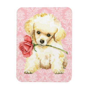 Valentine Rose Toy Poodle Magnet