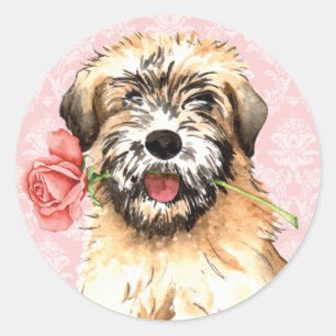 Valentine Rose Wheaten Classic Round Sticker