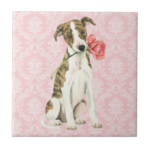 Valentine Rose Whippet Tile