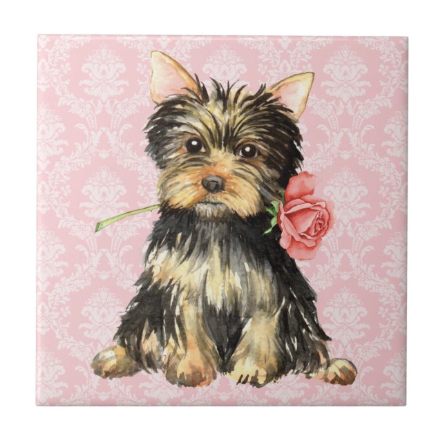 Valentine Rose Yorkie Tile (Front)