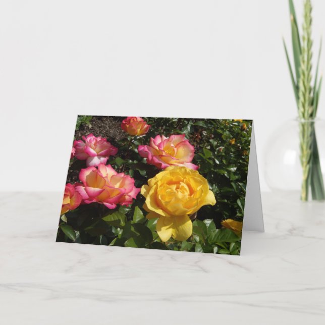 Valentine Roses Holiday Card (Front)