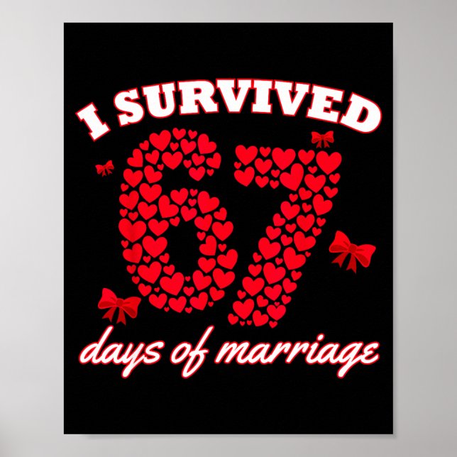Valentine’s Day I Survived 67 Days Of Dating Funny Poster (Front)