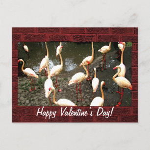 Valentine’s Day Postcard