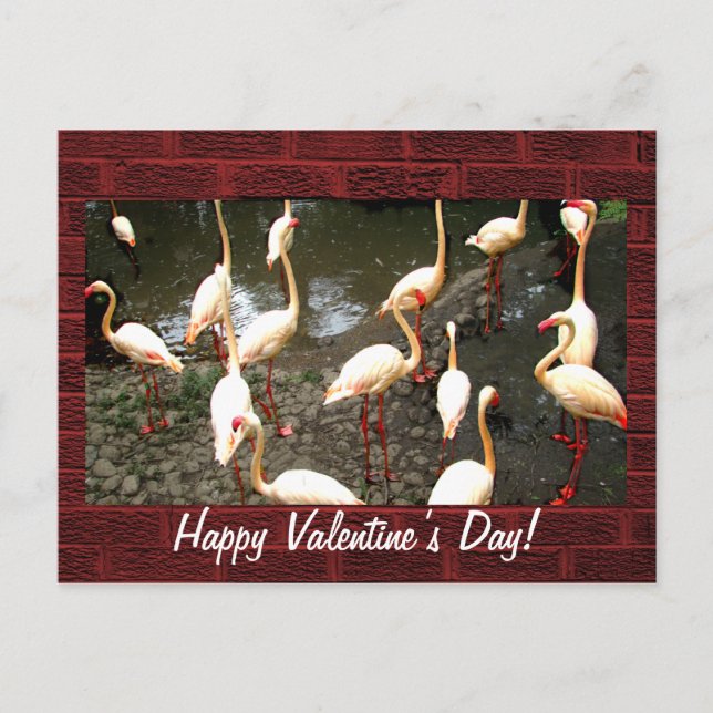 Valentine’s Day Postcard (Front)