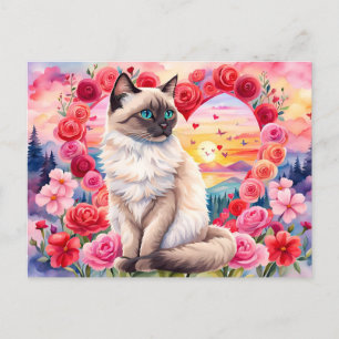 Valentine Siamese kitten in Heart of Roses Sunset Postcard