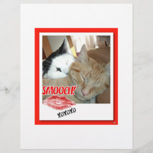 Valentine Tabby Cats Flyer