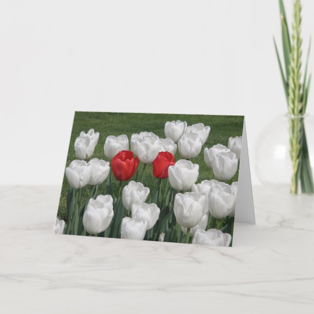 Valentine Tulips Holiday Card (Front)