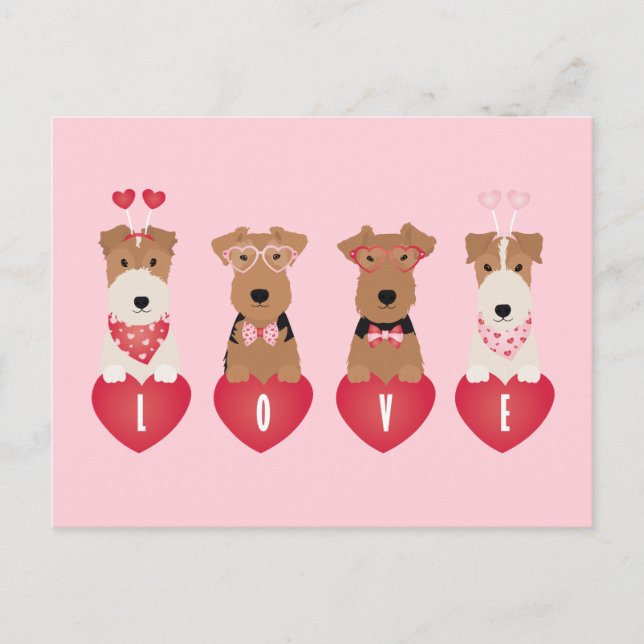 Valentine Welsh Wire Fox Terrier Dogs Postcard (Front)