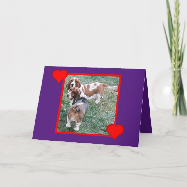 Valentine With Cute and Funny Basset Hounds Holiday Card (Front)