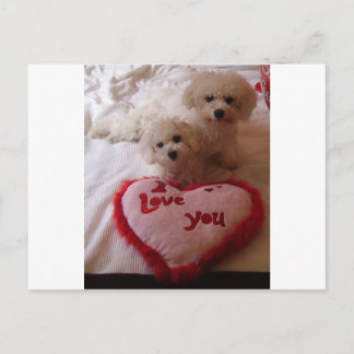 Valentines Babies Holiday Postcard