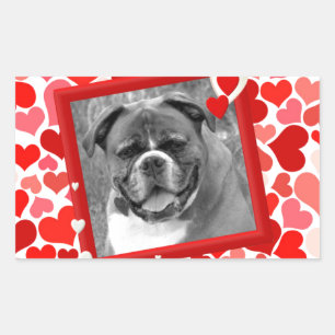 Valentines Boxer Dog Hearts Rectangular Sticker
