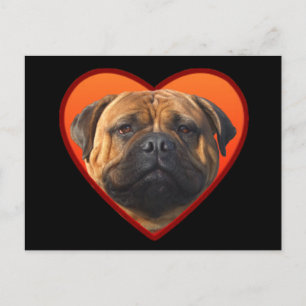 Valentine's Bullmastiff postcard
