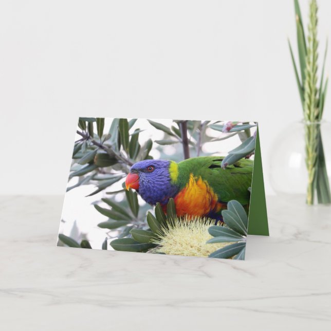 Valentine's card featuring Lorikeet (Front)