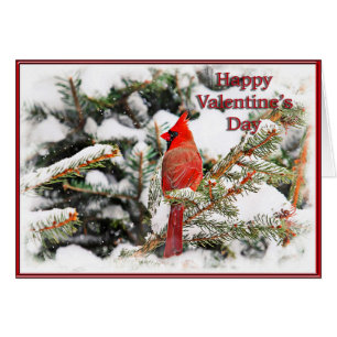 Valentine's Card of a cardinal in a pine tree