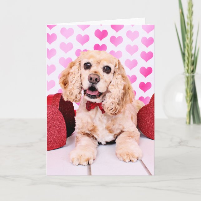 Valentines - Cocker Spaniel - Duke Holiday Card (Front)