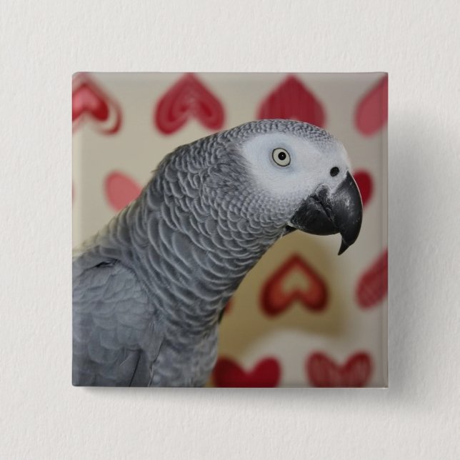 Valentine's Day African Grey Parrot Button Pin (Front)