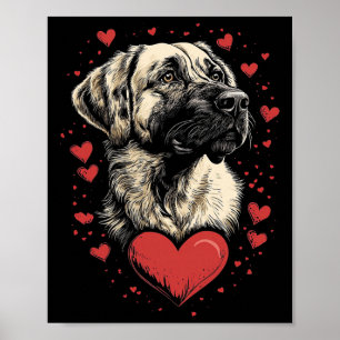 Valentine's Day Anatolian Shepherd Dog  Poster