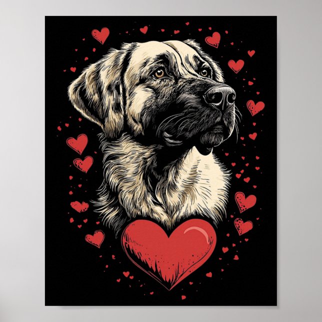 Valentine's Day Anatolian Shepherd Dog  Poster (Front)