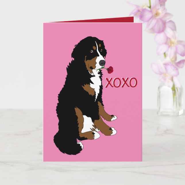 Valentines Day Bernese Mountain Dog  Card (Orchid)