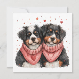 Valentines Day Bernese Mountain Dogs Holiday Card