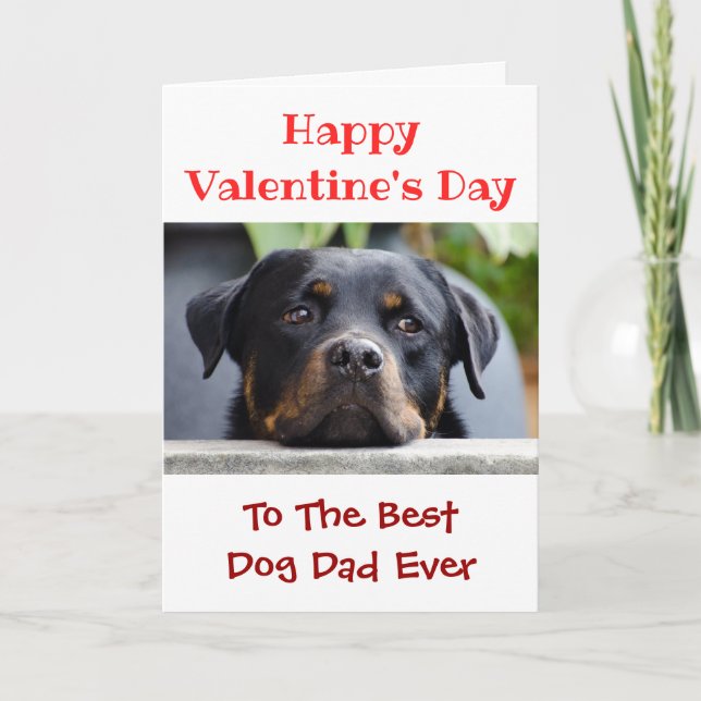Valentines Day Best Dog Dad Ever Pet Photo Holiday Card (Front)