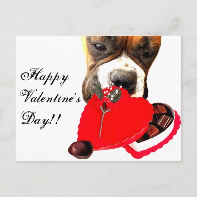 Valentine's Day Boxer dog greeting card (Front)