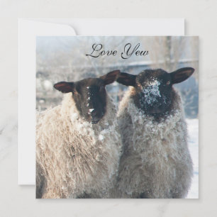 Valentine's Day Card