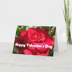 Valentine's Day Card (9) - Personalise/Customise