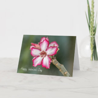 Valentine's Day Card - Desert Rose