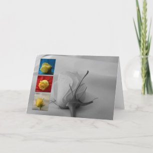 Valentine's Day Card-White Rose Holiday Card