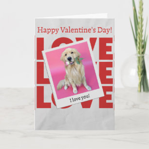 Valentine's Day card with dog