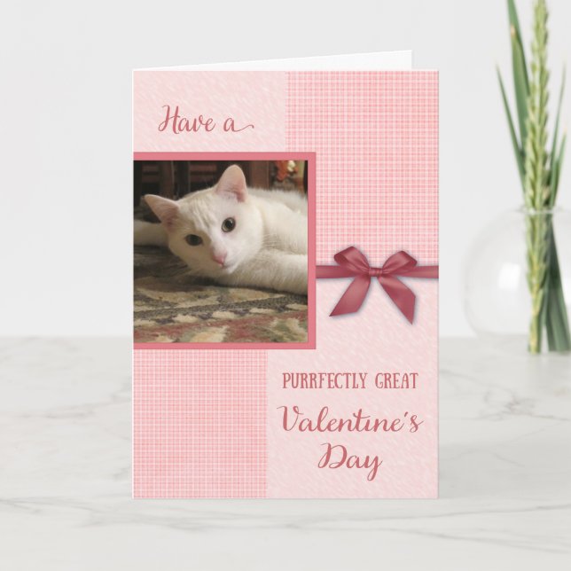 Valentine's Day  - cat custom photo card (Front)
