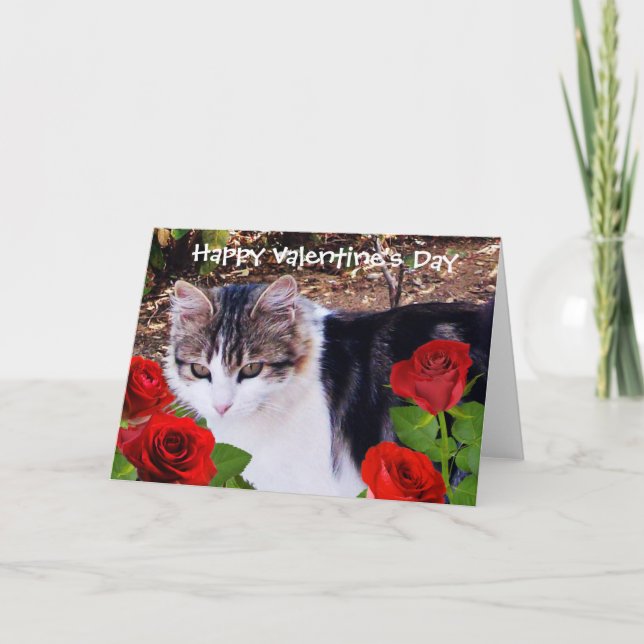 VALENTINE'S DAY CAT WITH RED ROSES HOLIDAY CARD (Front)