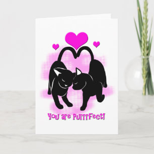 Valentines Day Cats Holiday Card