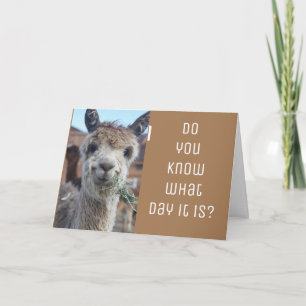 ***VALENTINE'S DAY CELEBRATE US*** CARD