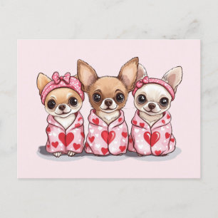 Valentines Day Chihuahua Dogs Postcard