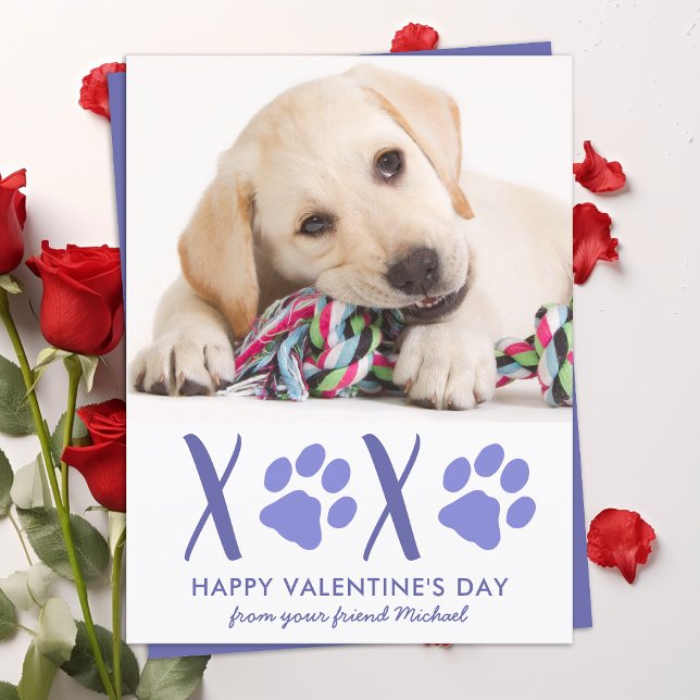Valentines Day Cute Dog Pet Photo Holiday Card (Creator Uploaded)