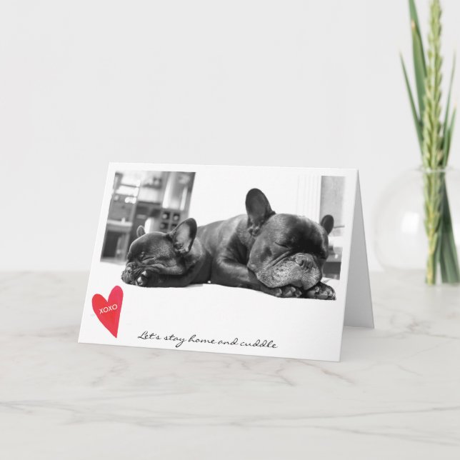 Valentine's Day Cute French Bulldog Photo Cuddle Holiday Card (Front)