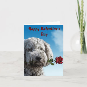  Valentine's Day Cute Puppy Card