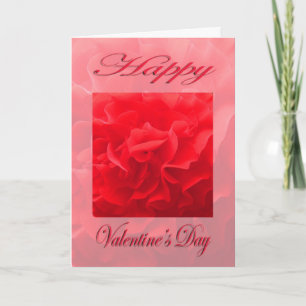 Valentines Day Dianthus Red Flower Holiday Card