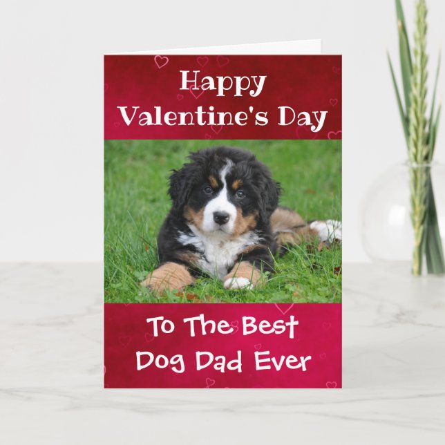 Valentines Day Dog Dad Worlds Best Ever Pet Photo Holiday Card (Front)