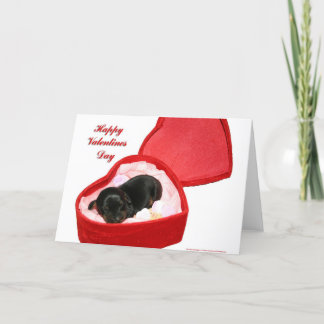 Valentines Day Doxie Holiday Card