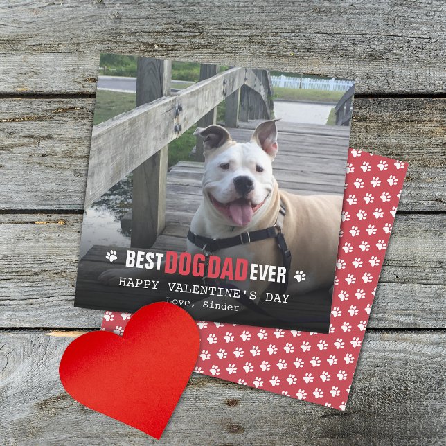 Valentines Day From The Dog Photo Flat Holiday Card (Valentines Day From The Dog Photo Flat Holiday Card)