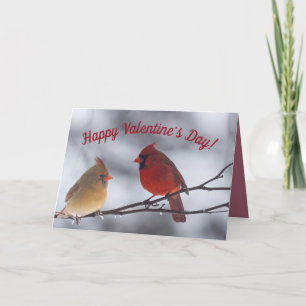 Valentine's Day Greeting Card Cardinals