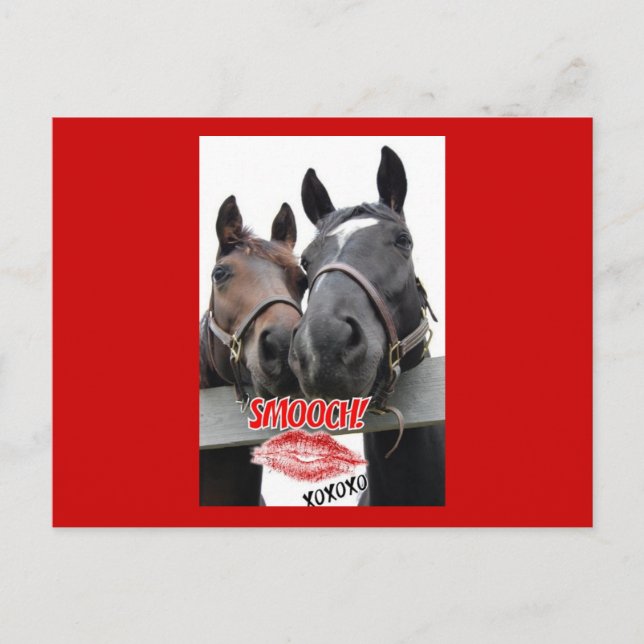 Valentine's Day Horses Holiday Postcard (Front)