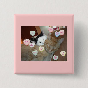 Valentine's Day Kittens 15 Cm Square Badge