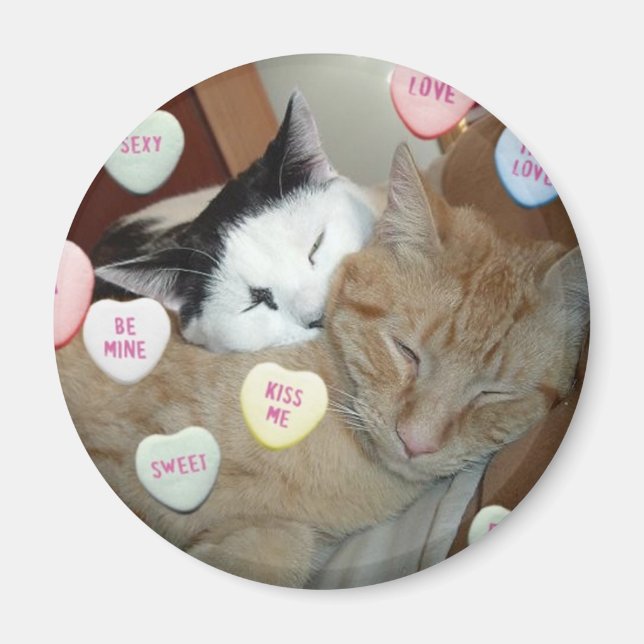 Valentine's Day Kittens Magnet (Front)