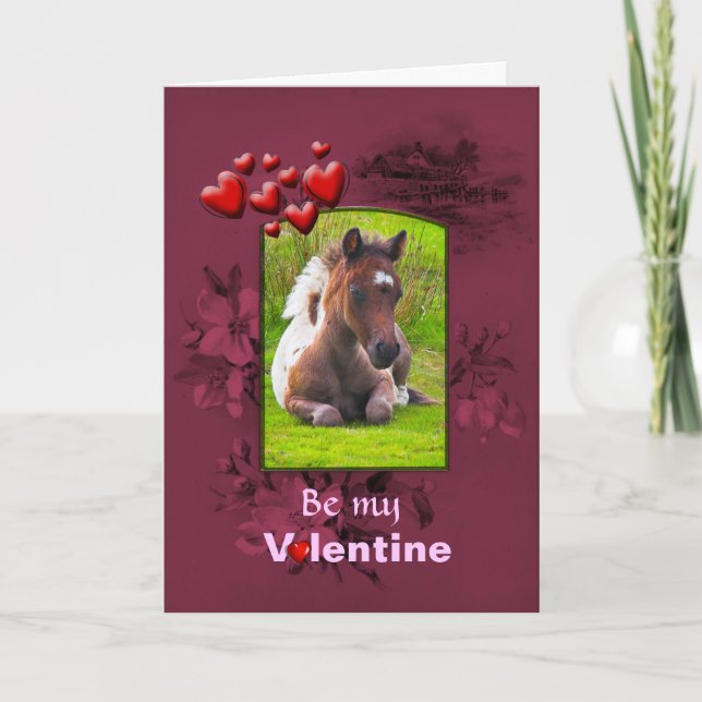Valentines Day, Kneeling Dartmoor Pony Foal Holiday Card (Front)