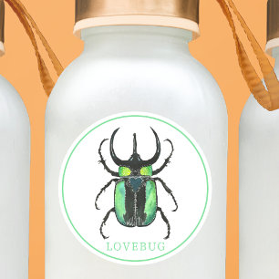 Valentine's Day Love Bug Sticker