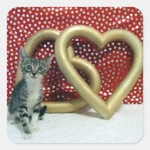 Valentine's Day - Love, Tabitha - cat / kitten Square Sticker
